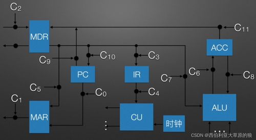 計算機(jī)組成原理 CPU如何像西伯利亞大草原的狼一樣高效工作
